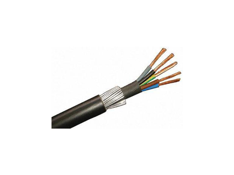 ������ȼ����